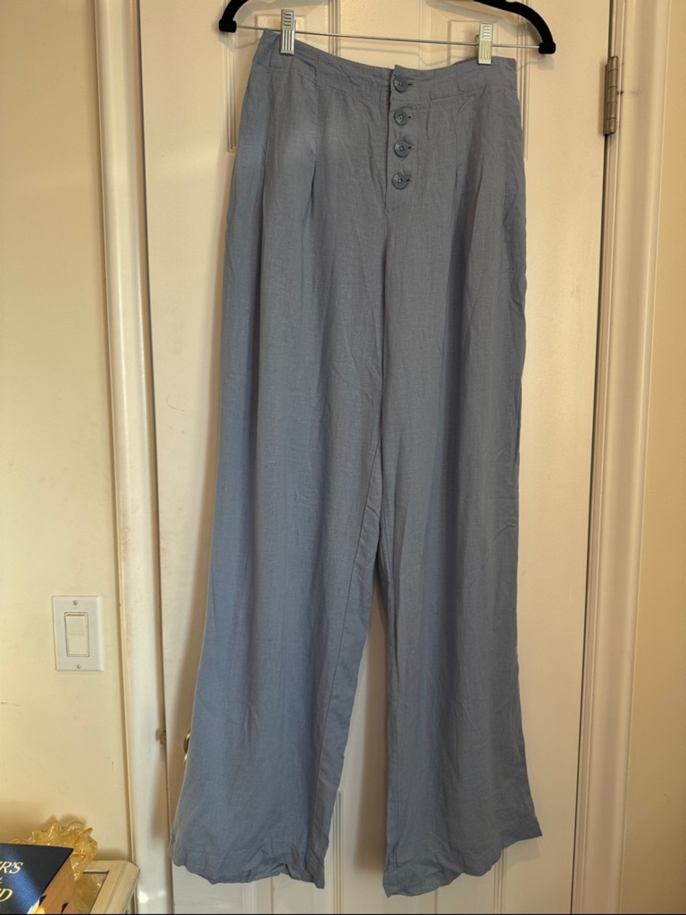 Line. Light Blue Wide-Leg Button Front Pants